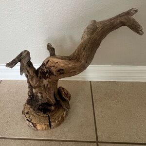 Large Natural Driftwood Art Sculpture